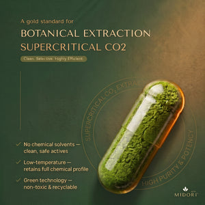 Moringa