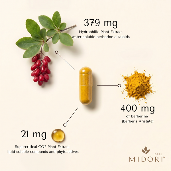 Berberine