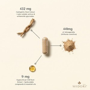Ashwagandha