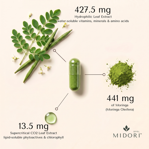 Moringa