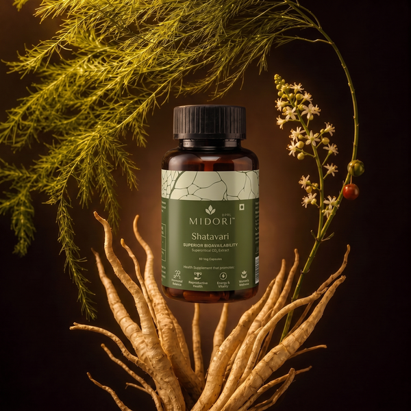 Shatavari